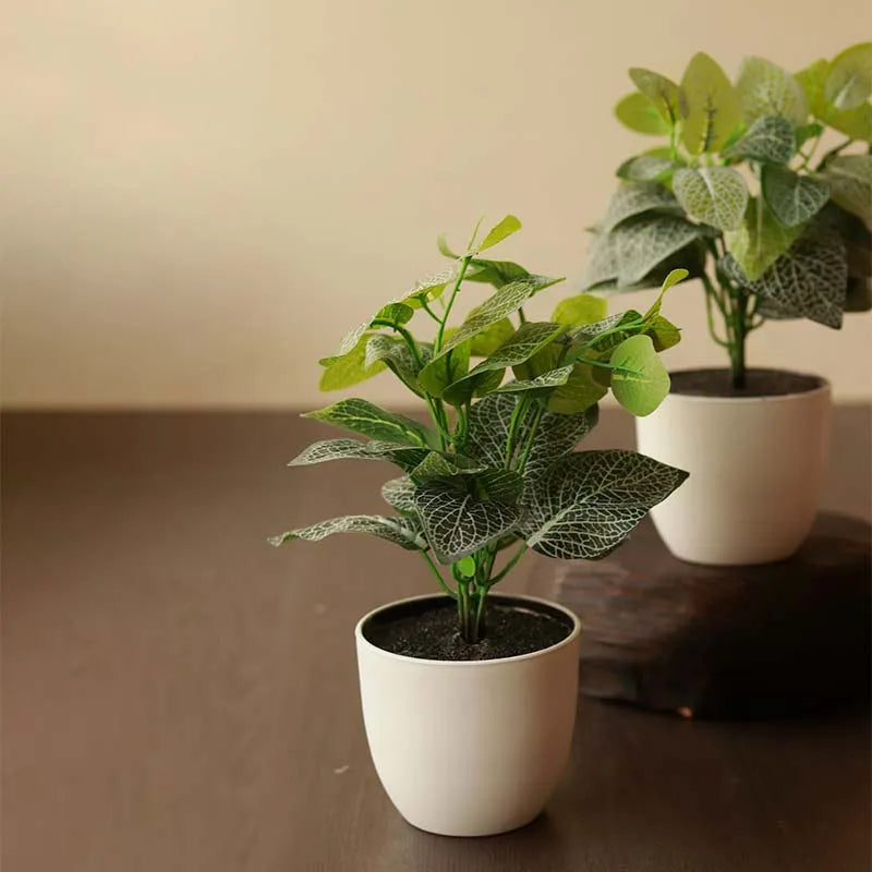 Angel Snow Artificial Fittonia Bush Plant with Pots | Set of 2 | 1.25 feet