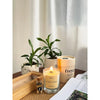 Freya Home Scented Candles Dusaan or dussan dushan doosan