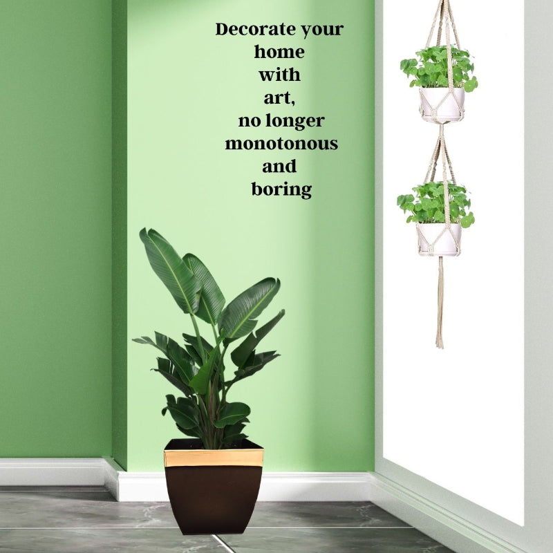 Dangling Crochet Pattern Plant Hanger | Set of 4 Default Title