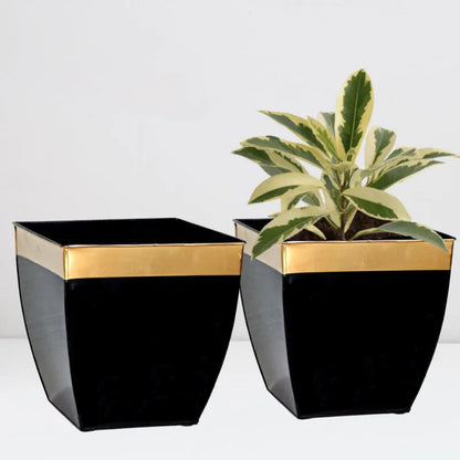 Ecofynd Pots & Planters Dusaan or dussan dushan doosan