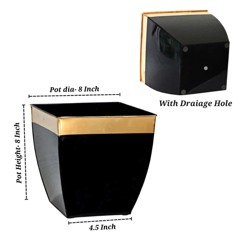 Ecofynd Pots & Planters Dusaan or dussan dushan doosan