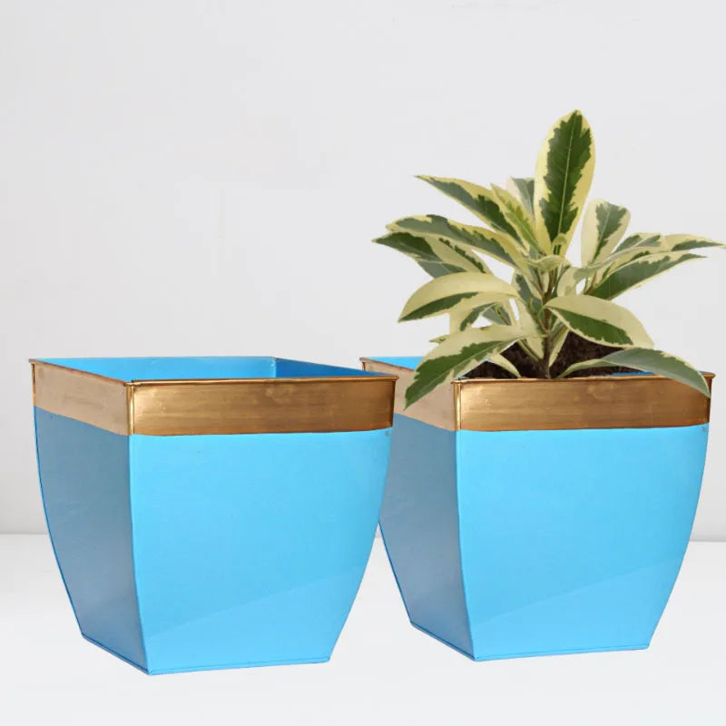 Ecofynd Pots & Planters Dusaan or dussan dushan doosan