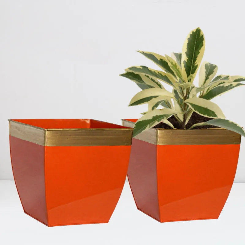 Ecofynd Pots & Planters Dusaan or dussan dushan doosan