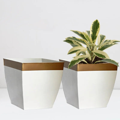 Ecofynd Pots & Planters Dusaan or dussan dushan doosan