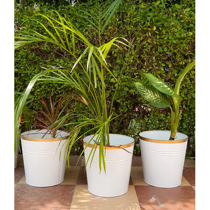 Ecofynd Pots & Planters Dusaan or dussan dushan doosan