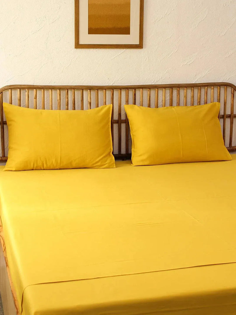 House This Bedsheets Dusaan or dussan dushan doosan
