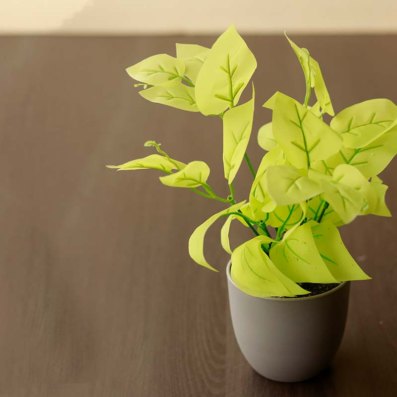 The Devil's Ivy | Artificial Golden Pothos Set of 2