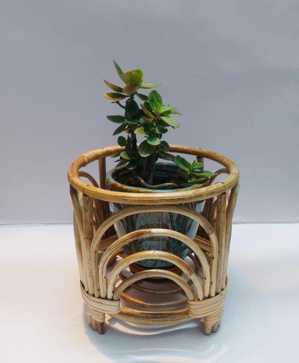 Nira Designs Pots & Planters Dusaan or dussan dushan doosan
