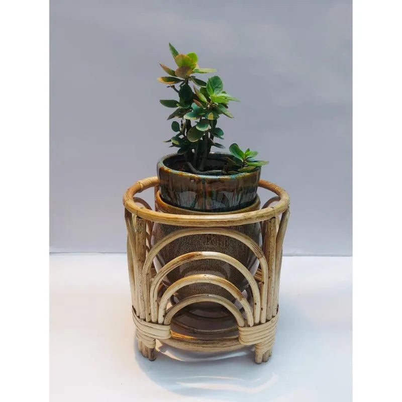 Nira Designs Pots & Planters Dusaan or dussan dushan doosan