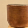 Ugaoo Pots & Planters Dusaan or dussan dushan doosan