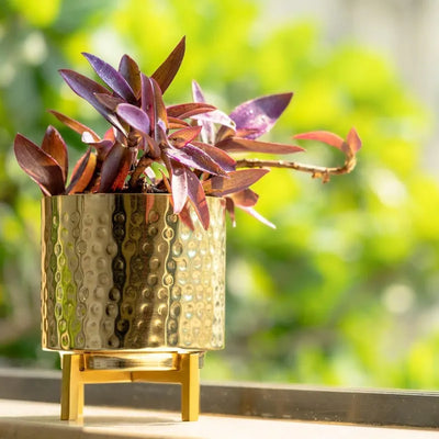 Modern Textured Planter