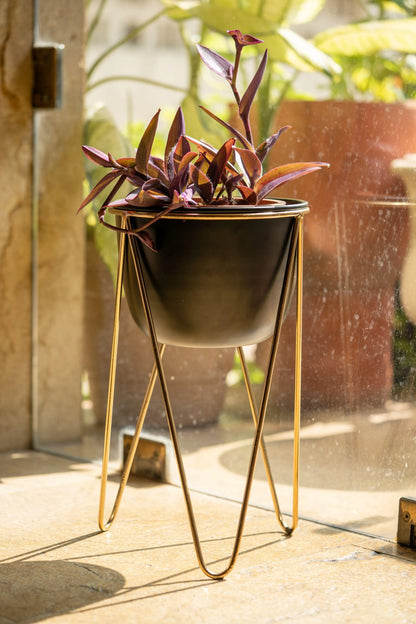 The Pitara Project Pots & Planters dusaan Doosan dushan Dusan Dosan home & living Planter with Gold Tripod