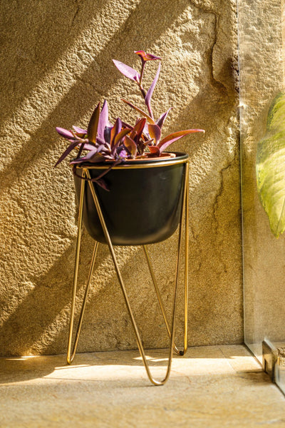 The Pitara Project Pots & Planters dusaan Doosan dushan Dusan Dosan home & living Planter with Gold Tripod