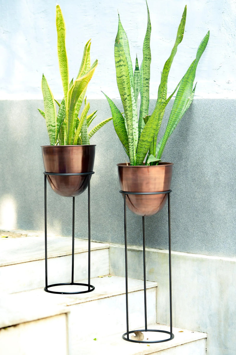 The Pitara Project Pots & Planters dusaan Doosan dushan Dusan Dosan home & living Copper Planter with Black Stand   Sizes