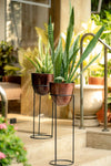 The Pitara Project Pots & Planters dusaan Doosan dushan Dusan Dosan home & living Copper Planter with Black Stand   Sizes