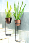 The Pitara Project Pots & Planters dusaan Doosan dushan Dusan Dosan home & living Copper Planter with Black Stand   Sizes