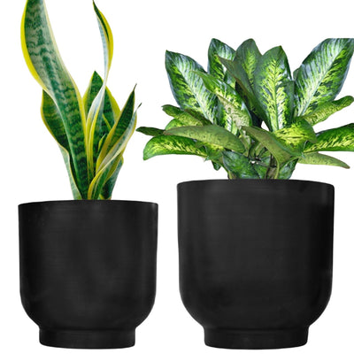 Ecofynd Pots & Planters Dusaan or dussan dushan doosan