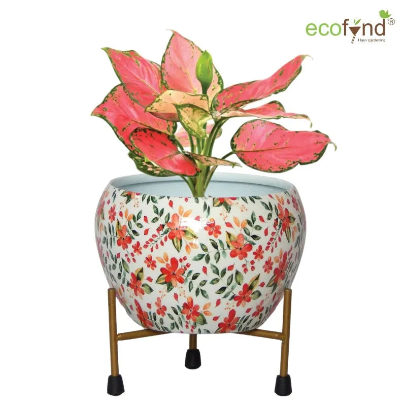 Lio White Floral Metal Pot with Stand - Dusaan