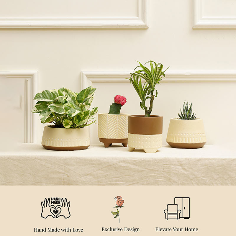 Gardenia Combo Planter | Set of 4 Default Title