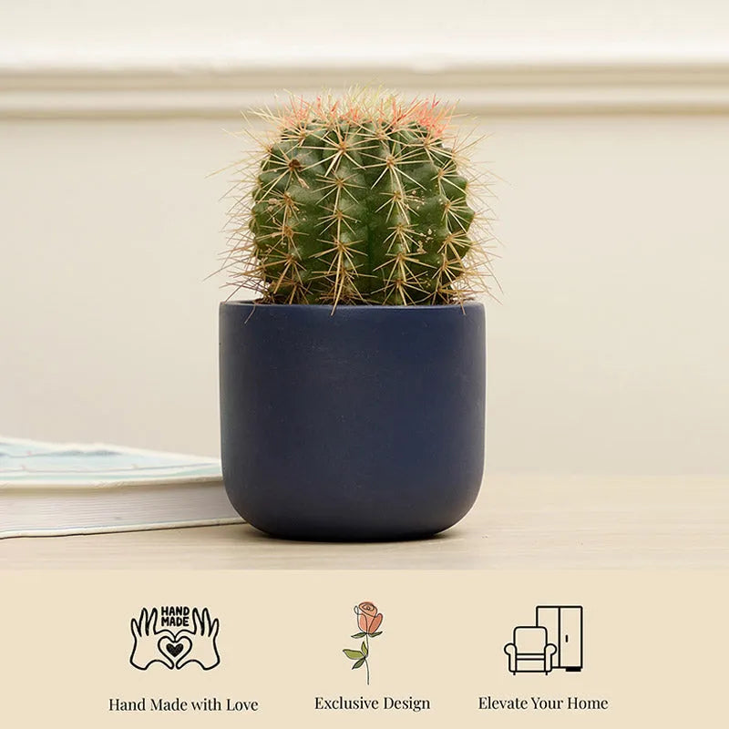 Jeanie Planter | Multiple colors Blue