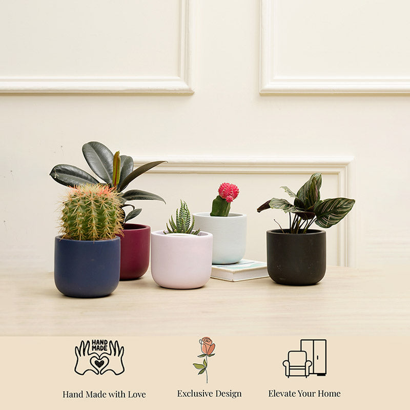 Jeanie Combo Planter | Set of 5 Default Title