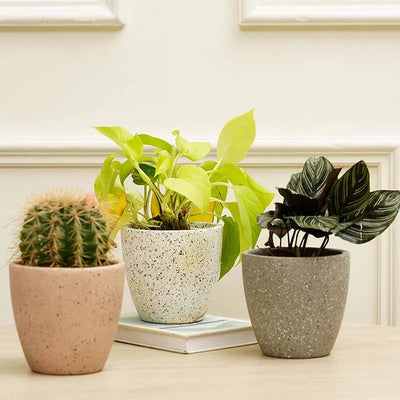 Marabelle Combo Planter | Set of 3 Default Title