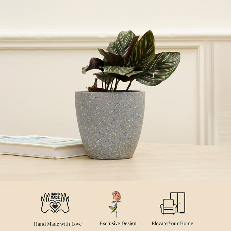 Marabelle Planter | Multiple colors Grey