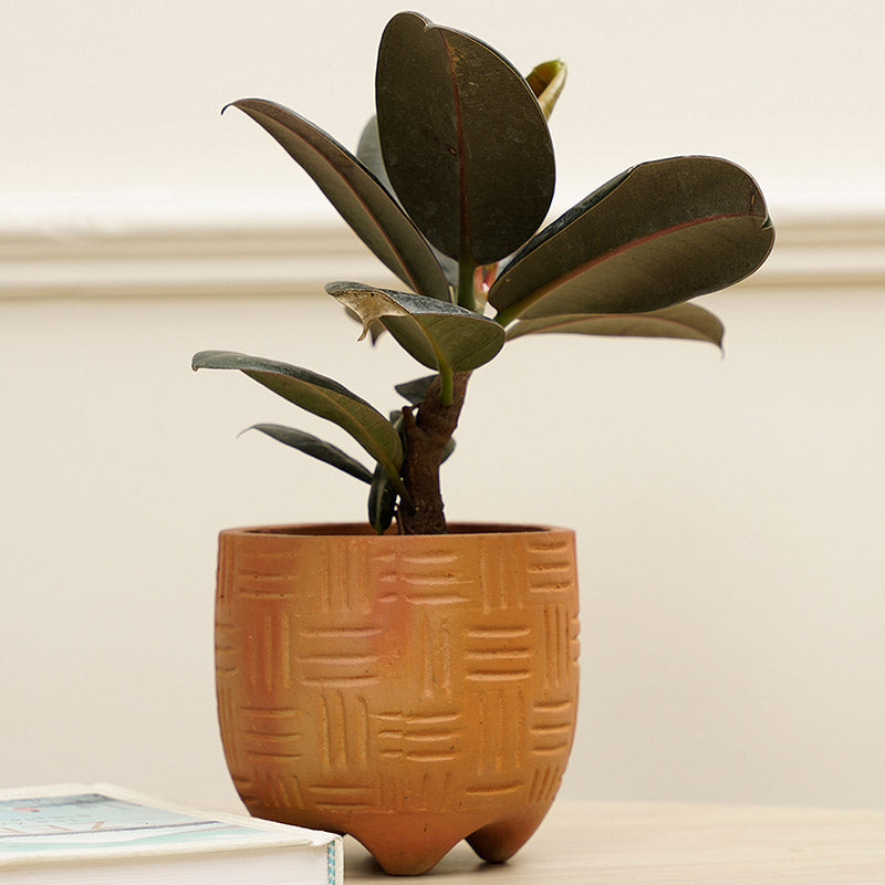 Monaco Planter | Multiple colors Brown