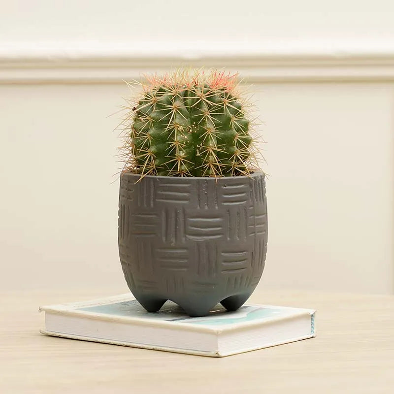 Monaco Planter | Multiple colors Grey