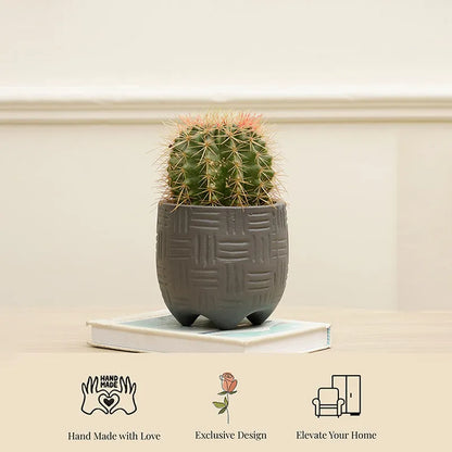 Monaco Planter | Multiple colors Grey