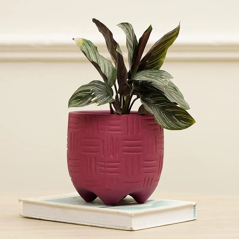 Monaco Planter | Multiple colors Marroon