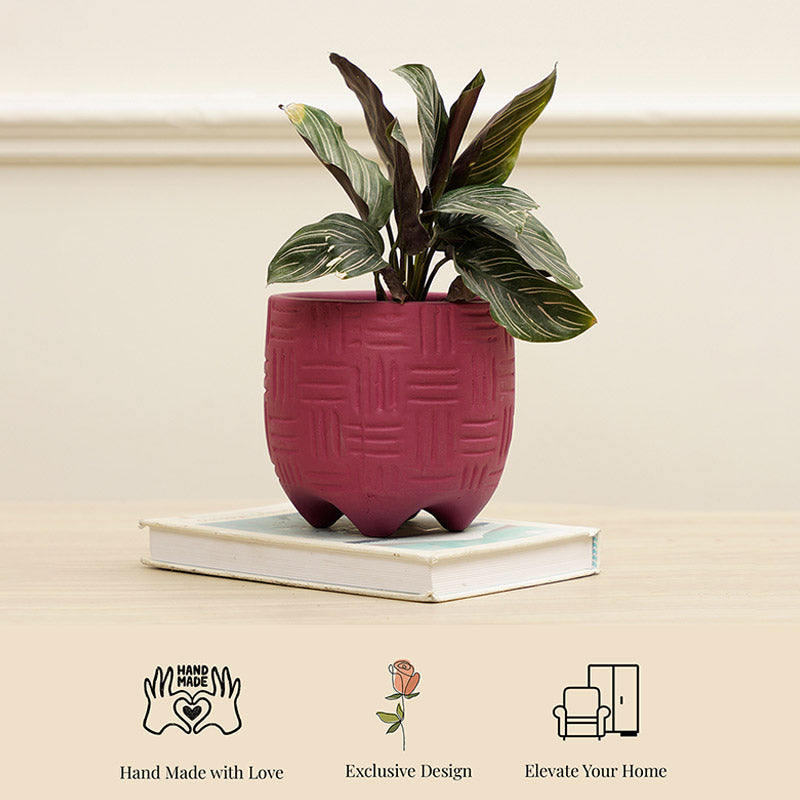 Monaco Planter | Multiple colors Marroon