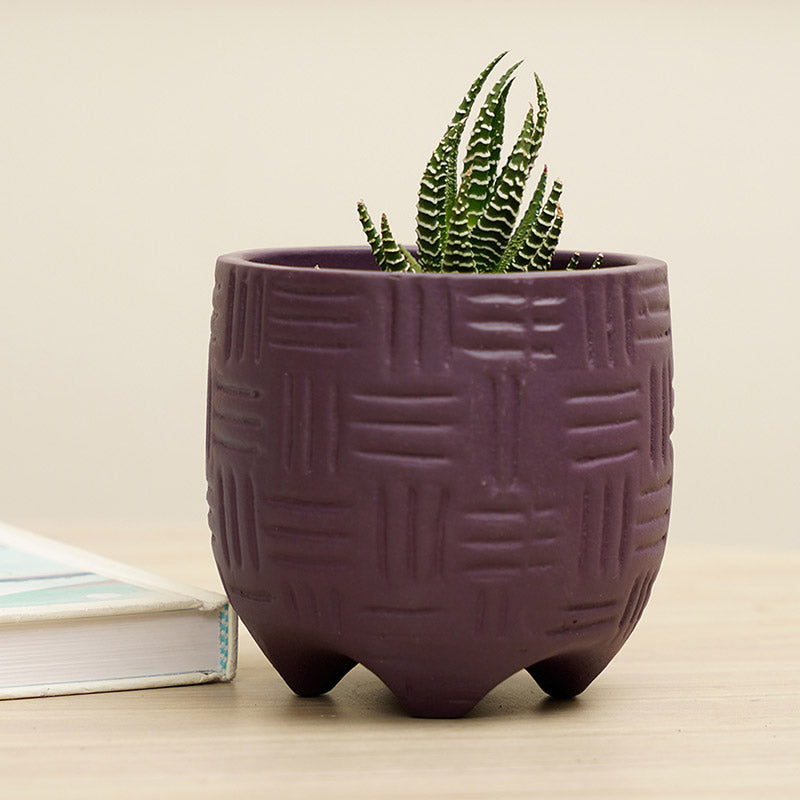 Monaco Planter | Multiple colors Purple