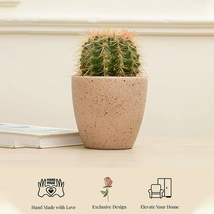 Marabelle Planter | Multiple colors Rose Gold