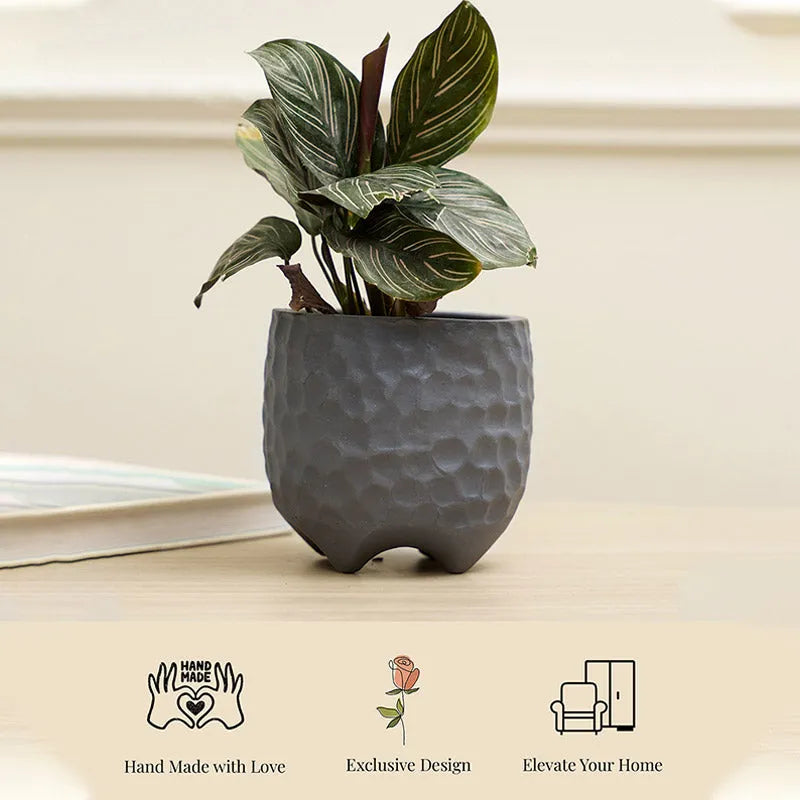 Pebble Planter | Multiple colors Grey