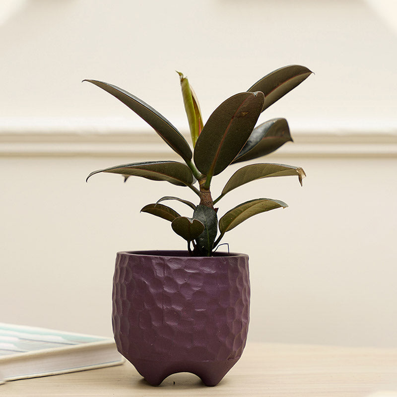 Pebble Planter | Multiple colors Purple