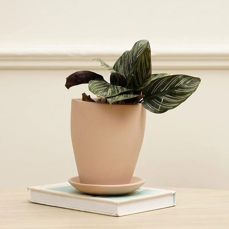 Vespa Planter | Multiple colors Pink