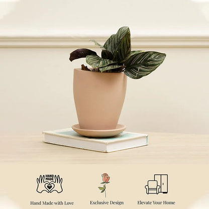 Vespa Planter | Multiple colors Pink