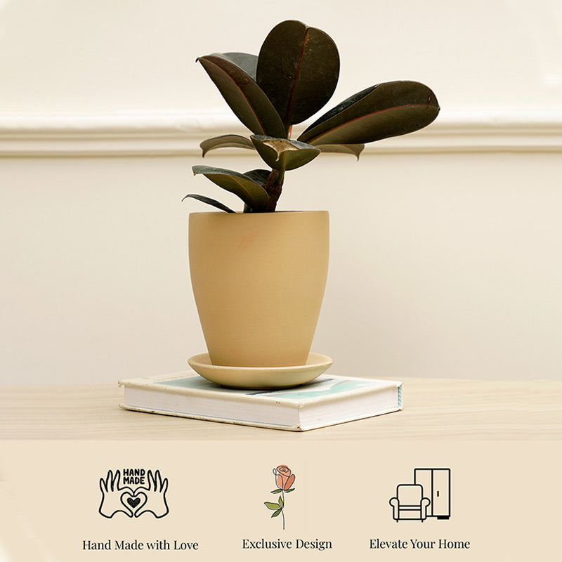 Vespa Planter | Multiple colors Yellow