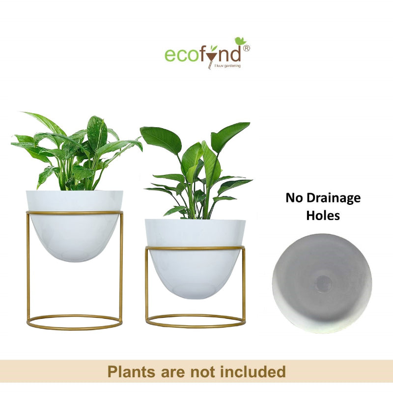 Ecofynd Pots & Planters Dusaan or dussan dushan doosan