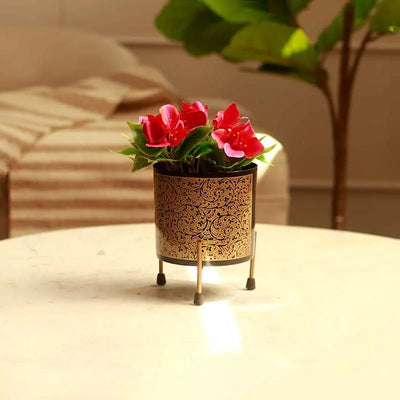 The Valletta Metal Plant Pot With Stand