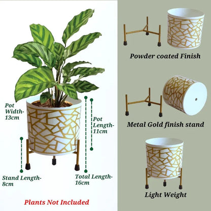 Ecofynd Pots & Planters Dusaan or dussan dushan doosan