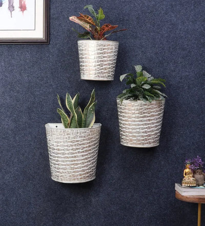 Amaya Decors Pots & Planters Dusaan or dussan dushan doosan