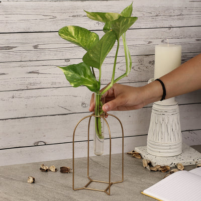 Morocco Testube Planter | Multiple Colors Gold