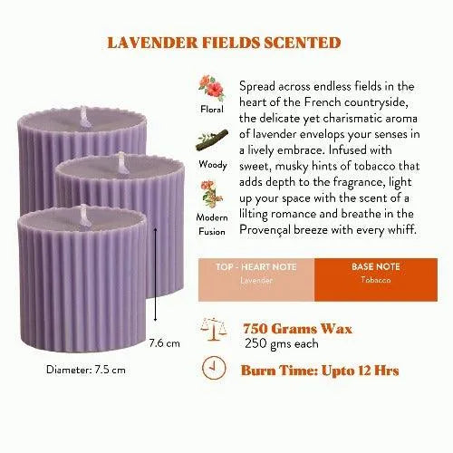 Rad Living Scented Candles Dusaan or dussan dushan doosan
