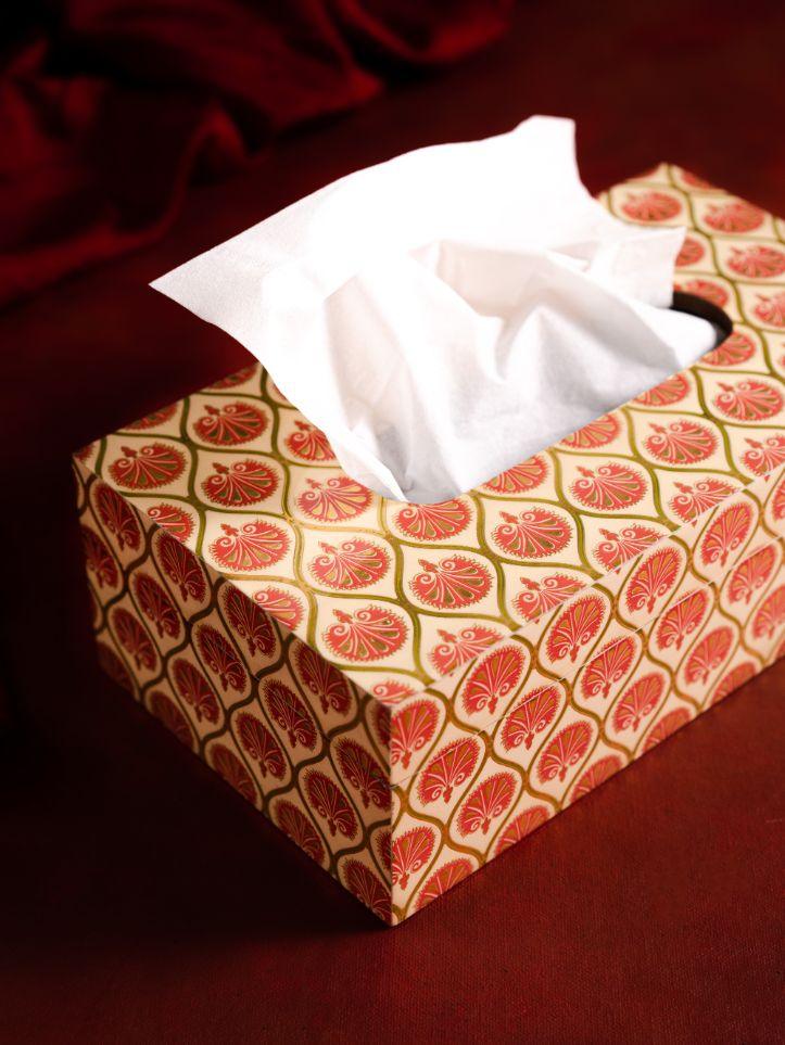 The Pitara Project Tissue Box Dusaan or dussan dushan doosan