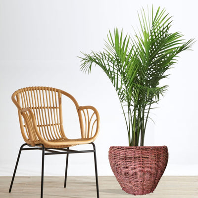 Handwoven Planter